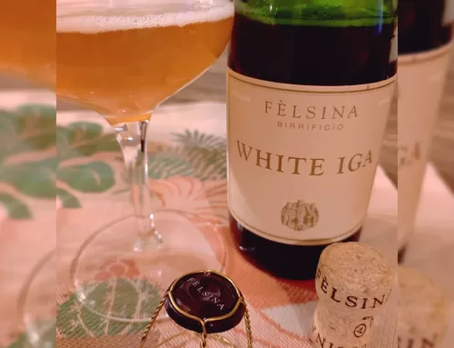 Italia a Sorsi 🍺🍷 Italian Grape Ale, incontro tra due mondi